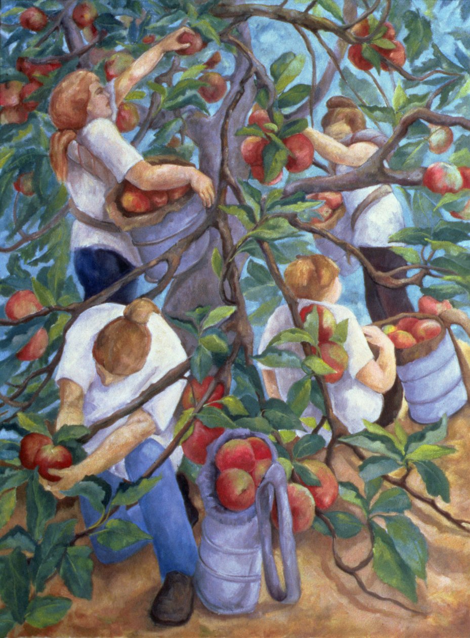 Apple Pickers, 1996 alkotó: Cristiana Angelini