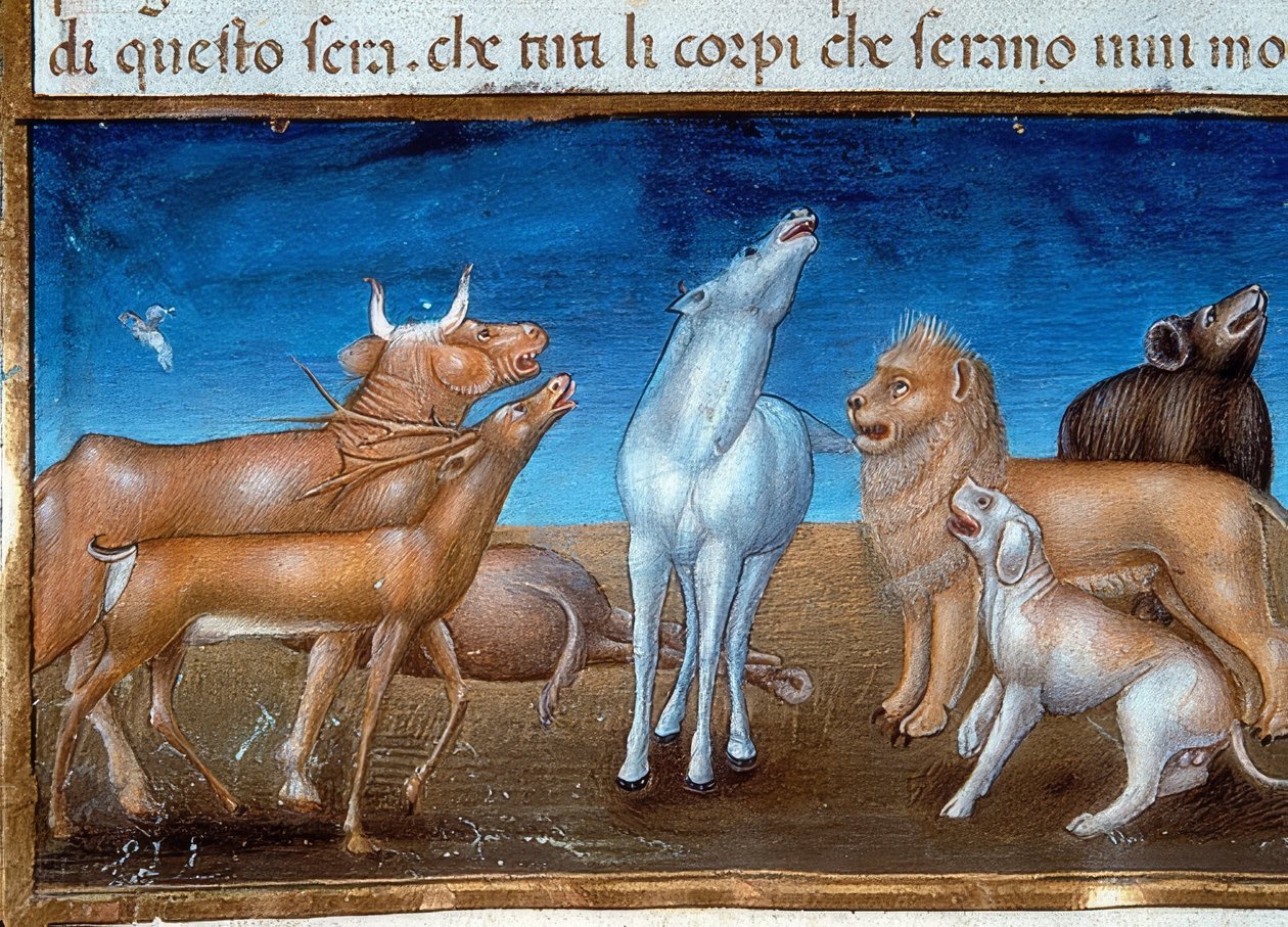 A világ vége: és a csillagok lehullanak az égről, és félni fognak az állatok (149v k.). 1476 alkotó: Cristoforo De Predis