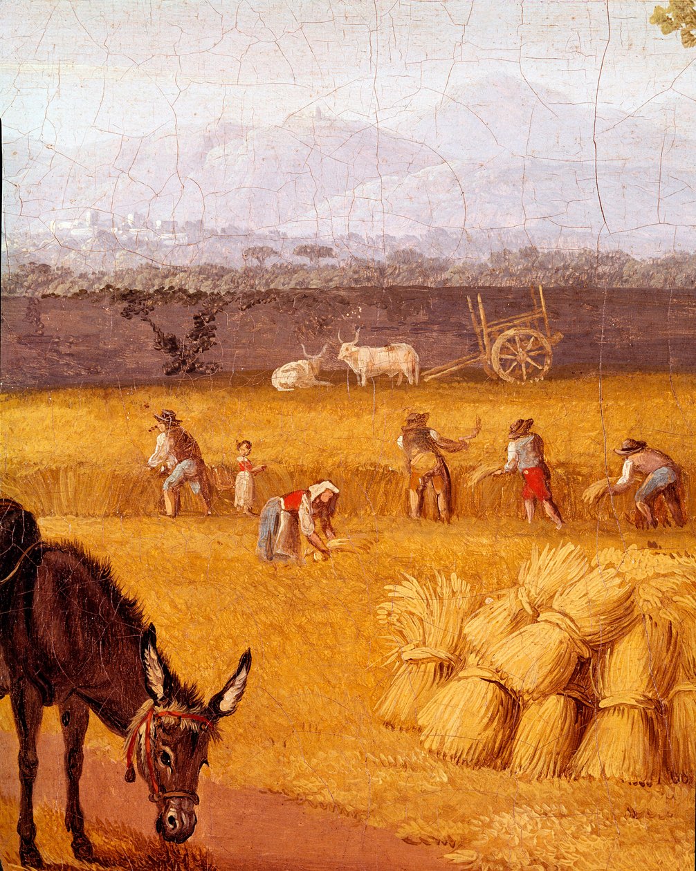 Betakarítás Caserte Detail közelében. Cristoforo Kneip (18. század) Goethe barátjának festménye. 18. századi Nápolyi Museo Nazionale di San Martino alkotó: Cristoforo Kneip