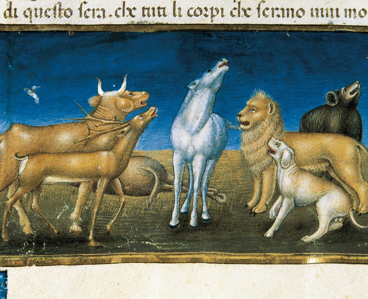 „Csillagok hullanak le az égről az állatok szeme láttára” (miniatűr) Cristoforo De Predis (1440-1486) miniatúrája alkotó: Cristoforo De Predis