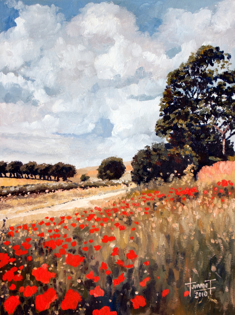 Wild Poppies, Hertfordshire, 2010 (olaj, papír) alkotó: Cruz Jurado Traverso
