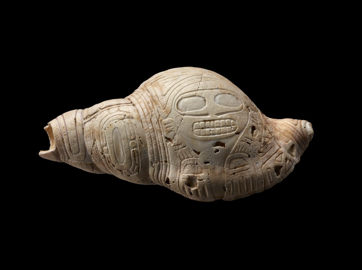 Faragott kagylóhéj alkotó: Culture Taino