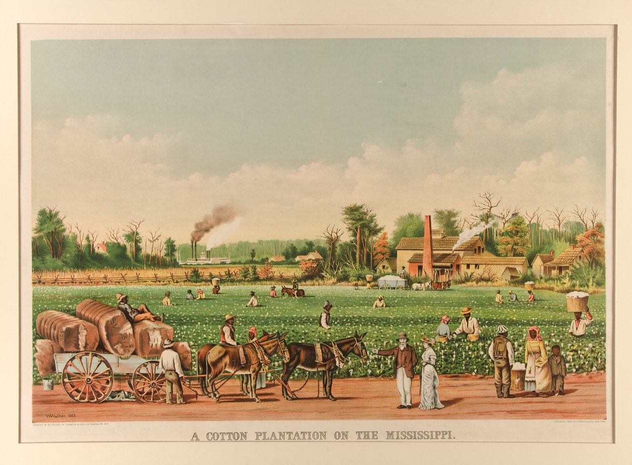 Gyapotültetvény a Mississippin alkotó: Currier and Ives