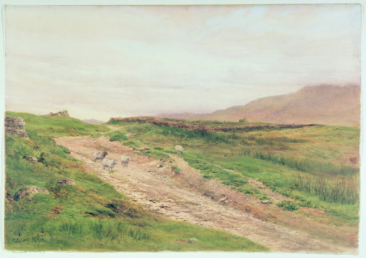 Lake District alkotó: Cuthbert Rigby