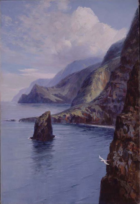 Molokai Bluffs, Hawaii alkotó: D. Howard Hitchcock