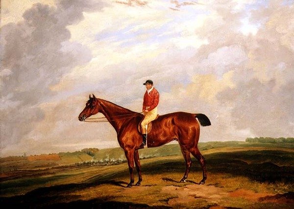 Versenyló Jockey Up-al alkotó: D. the Younger Wolstenholme