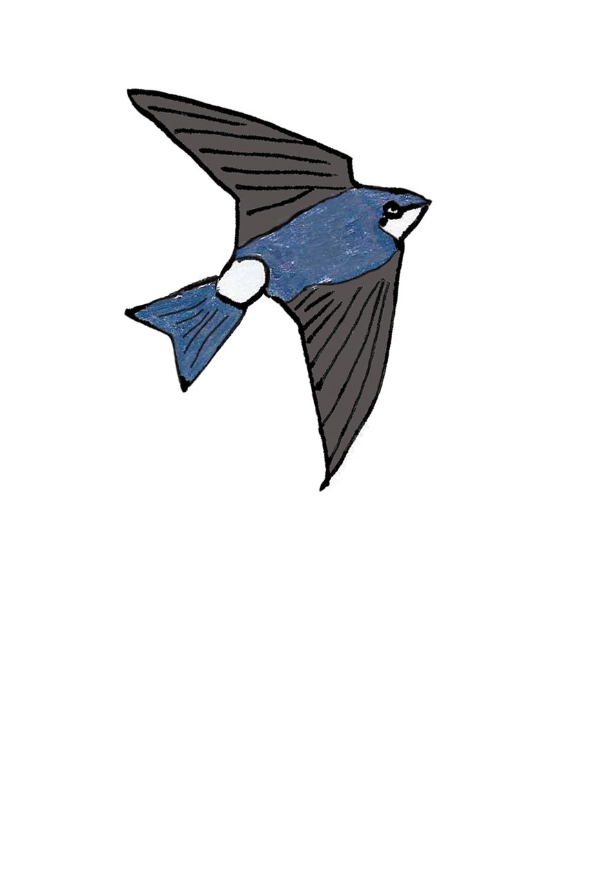House Martin alkotó: Daisy de Villeneuve