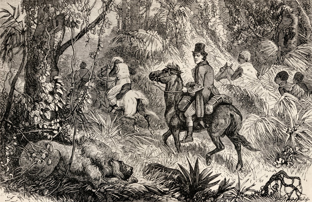 Mungo Park egy oroszlánnal találkozik, miközben Modiboo falujába ment, 1825 alkotó: Dalziel Brothers