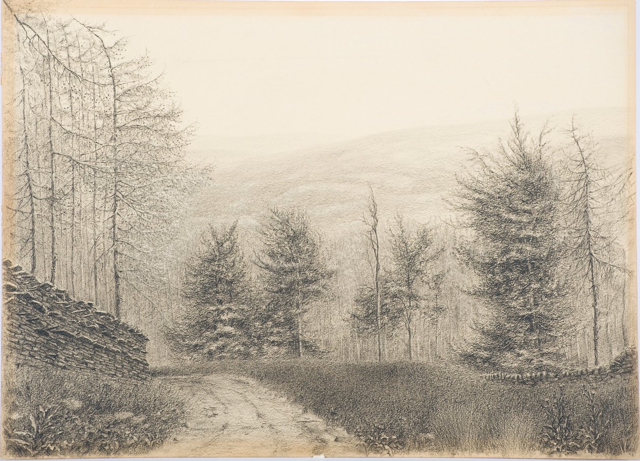 Egglestone Bridge, Teesdale, 1916 körül (fekete zsírkréta a kártyán) alkotó: Daniel Oliver