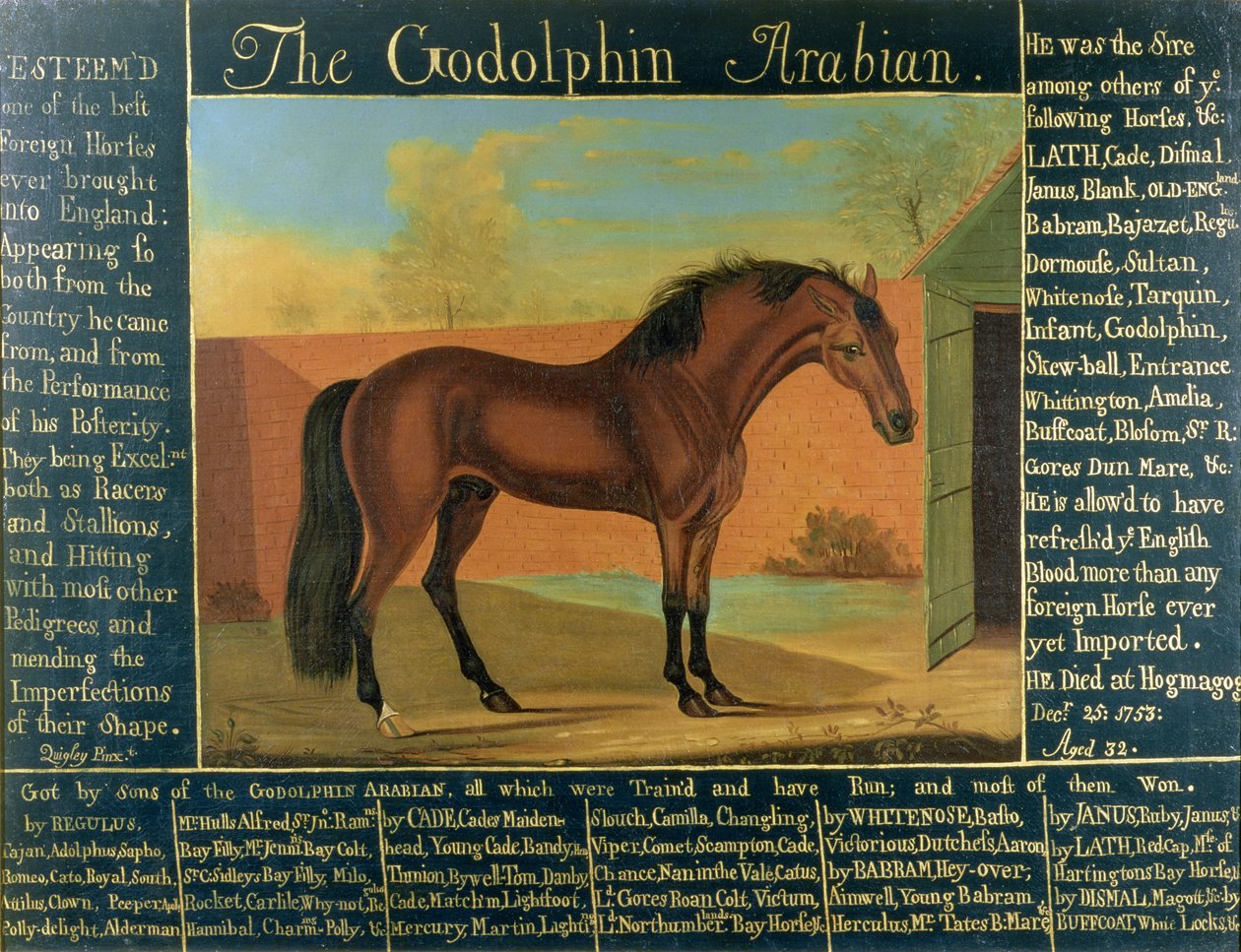 A Godolphin Arabian alkotó: Daniel Quigley