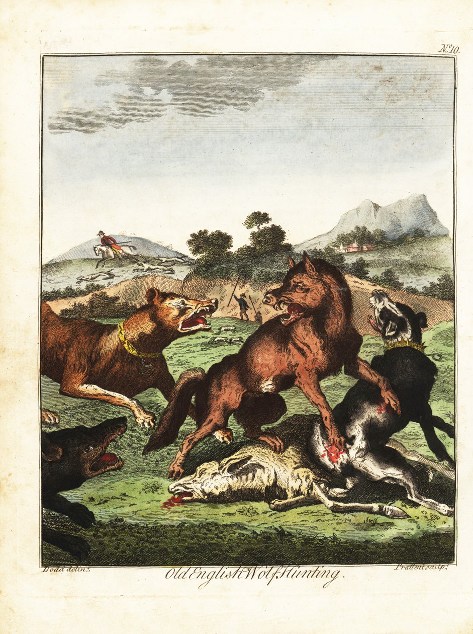 Régi angol farkasvadászat. 1792 (metszet) alkotó: Daniel (after) Dodd