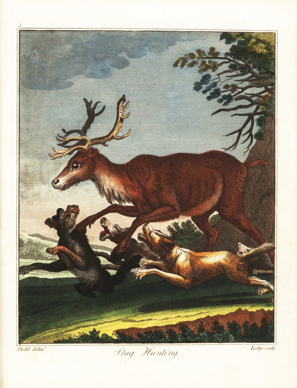 Szarvasvadászat alkotó: Daniel (after) Dodd