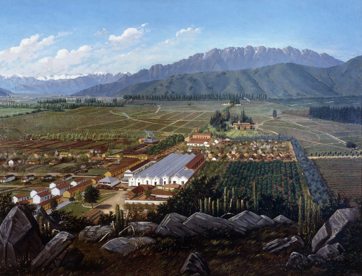Errazuriz-Panquehue szőlőskertje, Chile, 1896 alkotó: Daniel Escobar