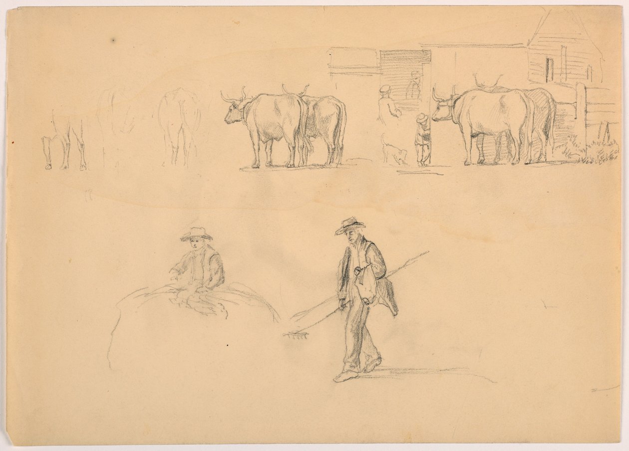 Rajz, Barnyard; figurák és ökrök, 1878 alkotó: Daniel Huntington