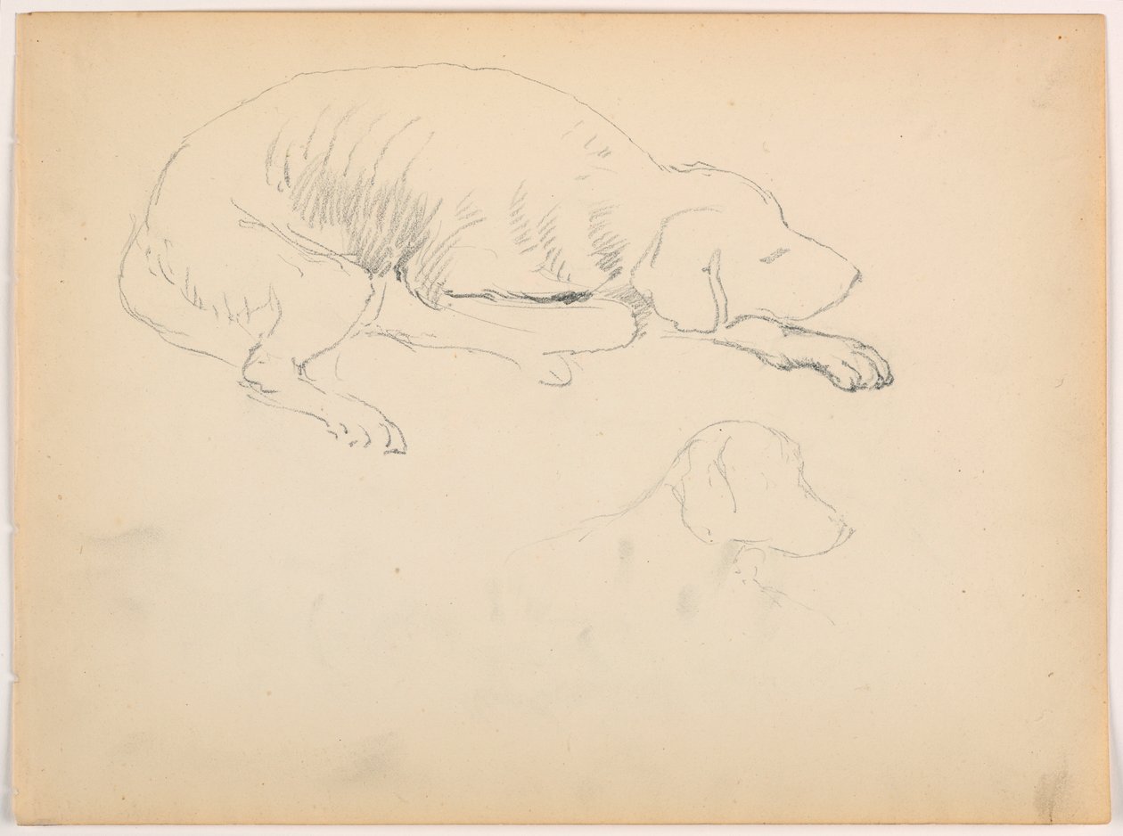 Rajz, Milo (egy mutatós kutya), Két tanulmány, 1862 körül. alkotó: Daniel Huntington