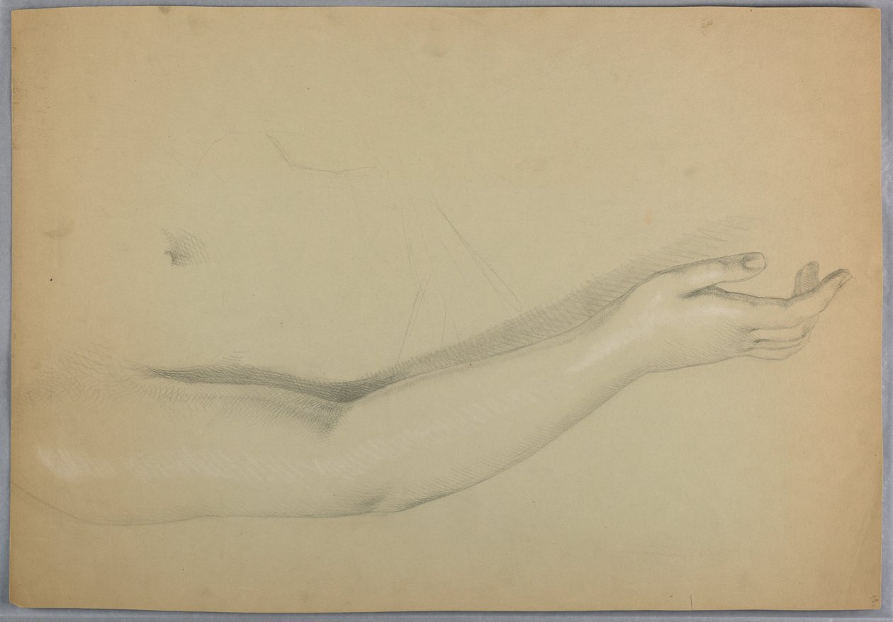 Rajz, tanulmány a "C" duplikátumához, 1850 alkotó: Daniel Huntington