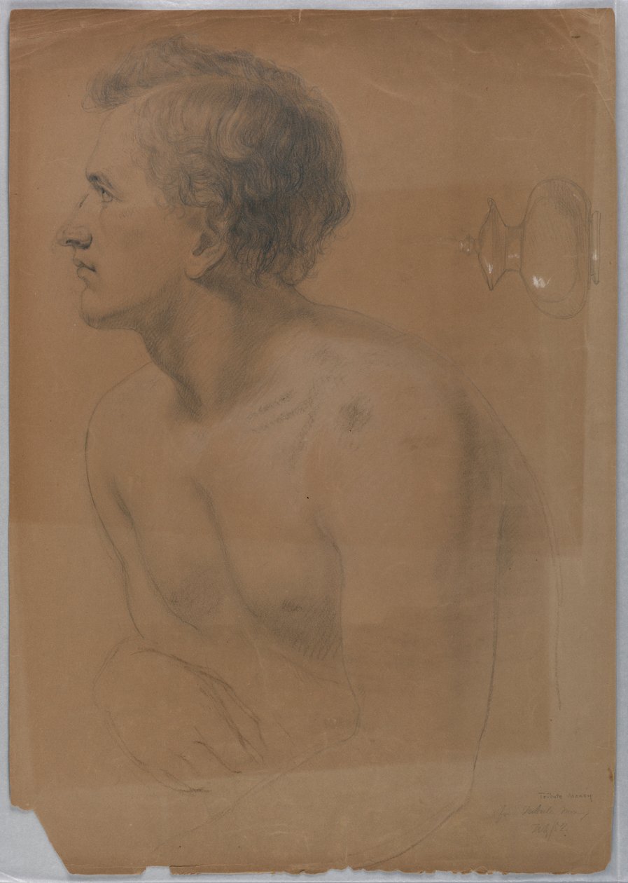 Rajz, tanulmány a "Tribute Money"-hoz, 1852. július alkotó: Daniel Huntington