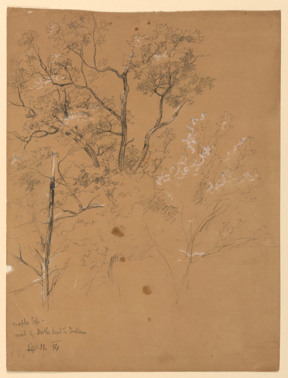 Maple Top a Road to Jackson, New Hampshire alkotó: Daniel Huntington