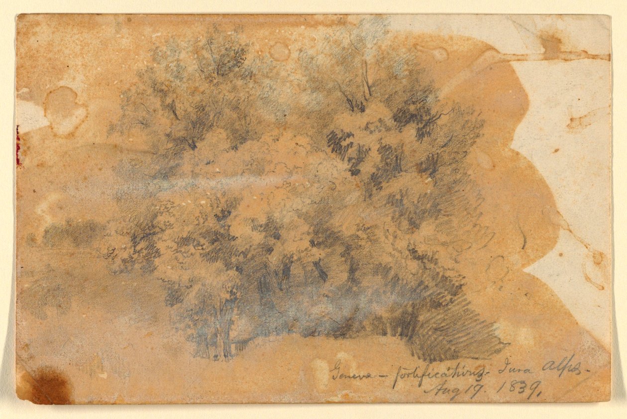 Study of Trees, Genf alkotó: Daniel Huntington