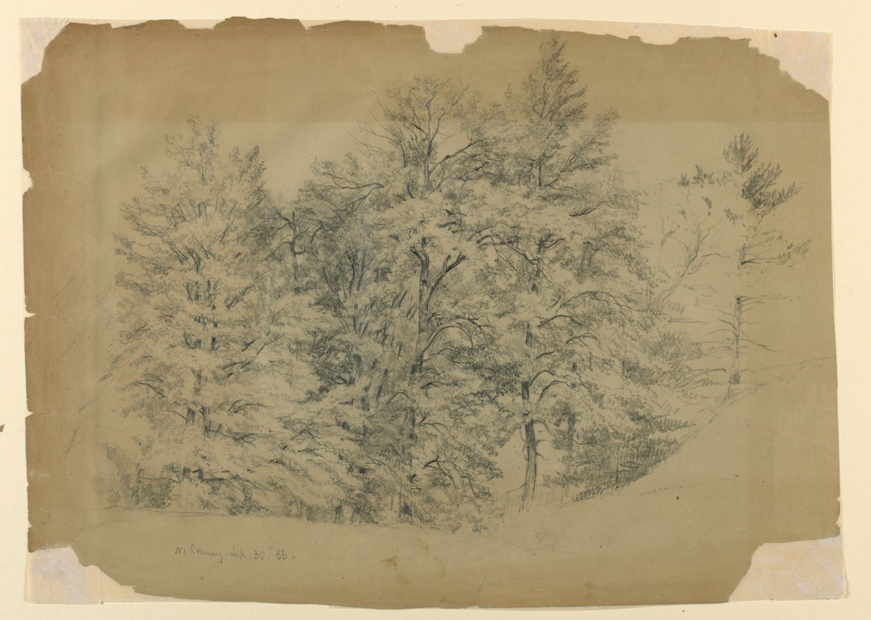 Study of Trees, North Conway, New Hampshire   1261925   hu       hungarian Successfully Translated  Original: Christ on the Road to Calvary Translat: Christ on the Road to Calvary 1400331 hu hungarian Successfully Translated Original: Hameji Castle - Morni alkotó: Daniel Huntington