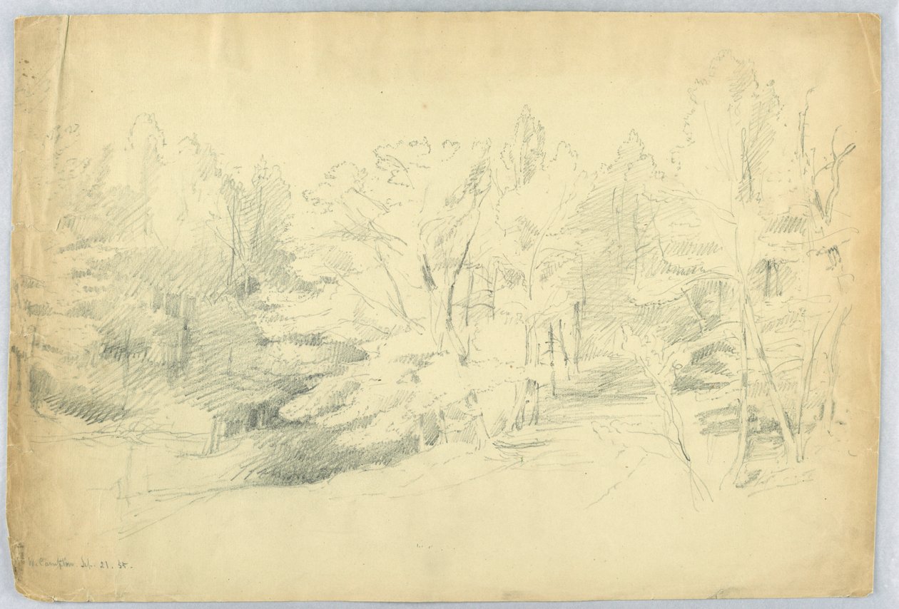 Erdős jelenet - West Campton, New Hampshire alkotó: Daniel Huntington