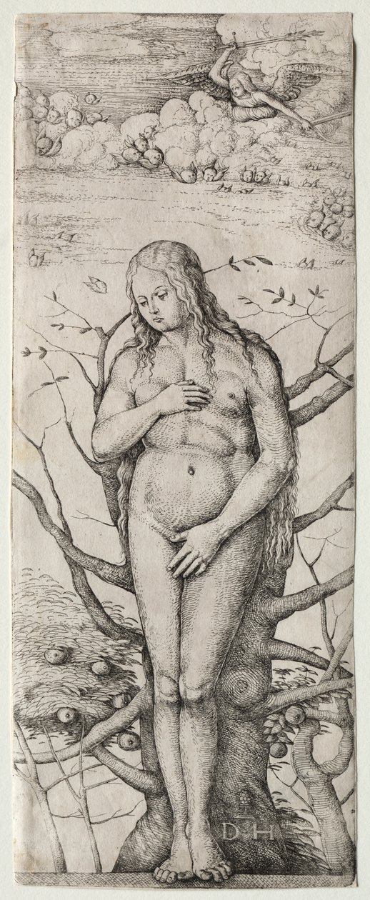 Eve alkotó: Daniel I Hopfer
