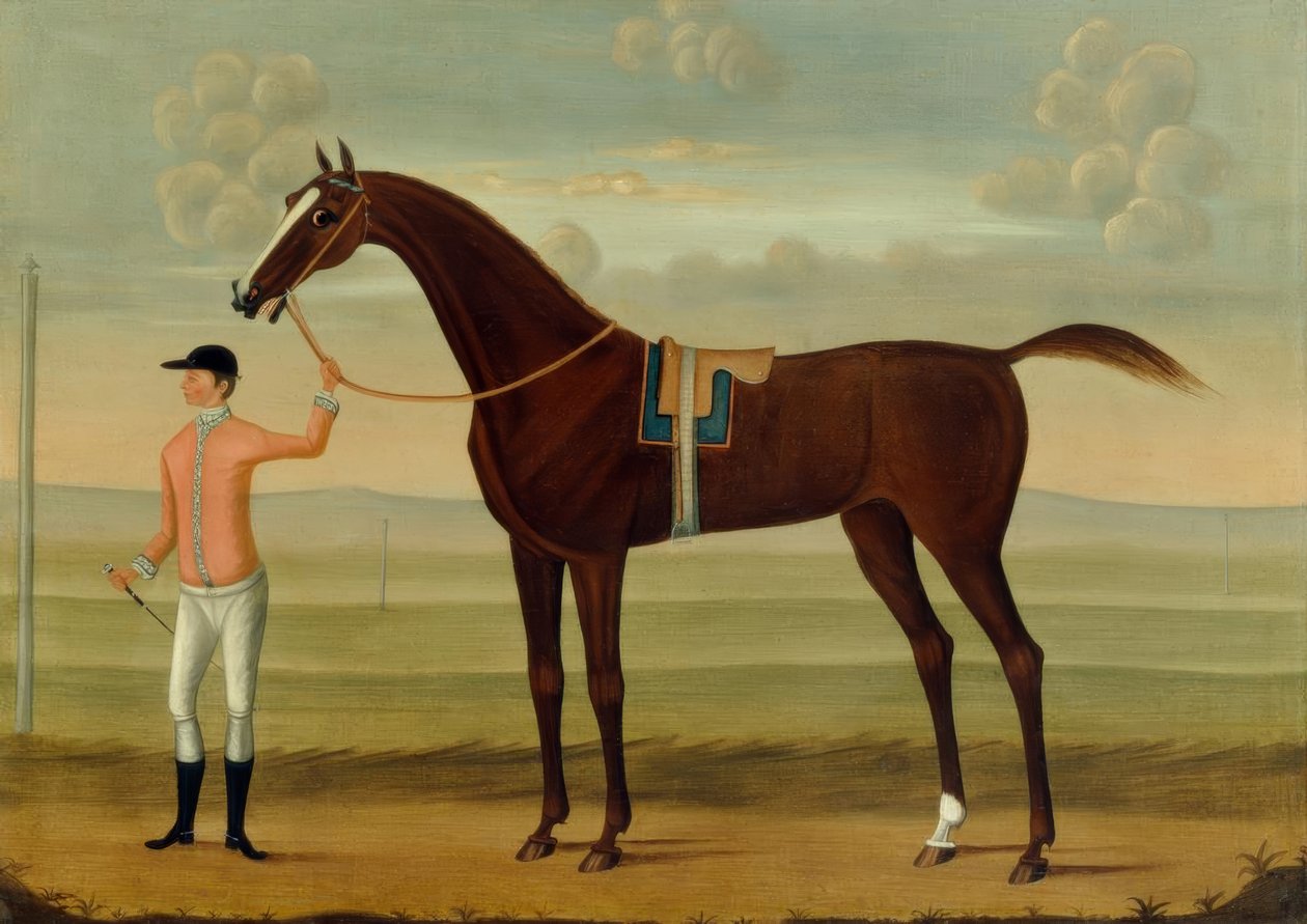 Egy Bay Racehorse a zsokéjával egy versenypályán alkotó: Daniel Quigley