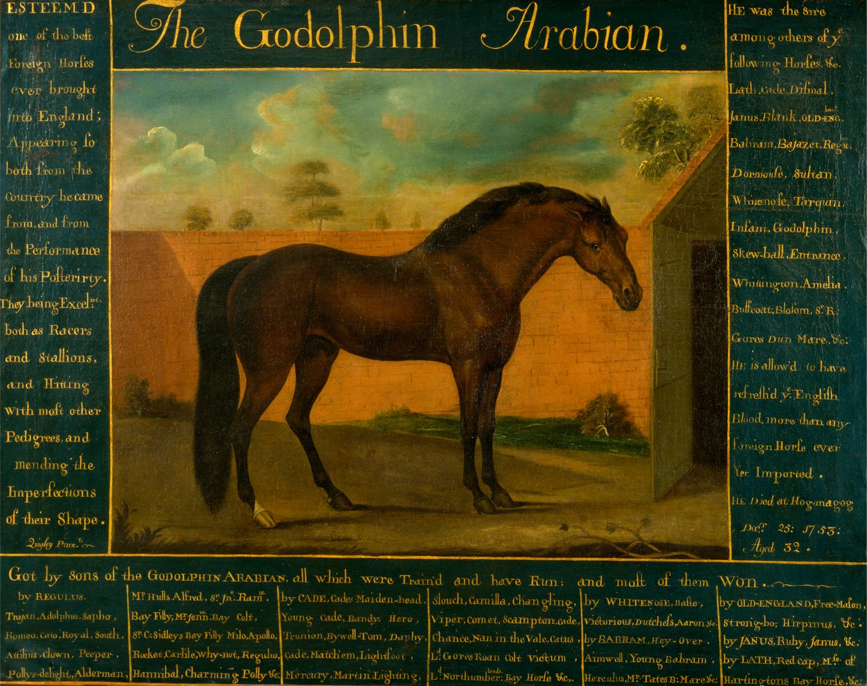 A Godolphin Arabian alkotó: Daniel Quigley