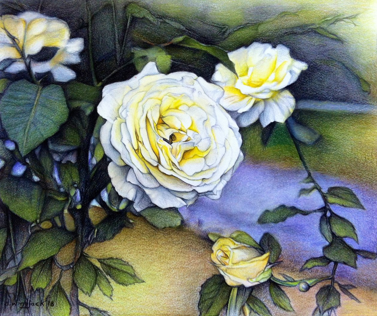 Alberta Roses In Bloom, 2018 (ceruza, papír) alkotó: Darrell Windjack