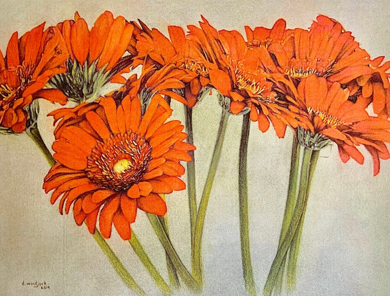 Orange Burst, 2019 (ceruza, akril, papír) alkotó: Darrell Windjack