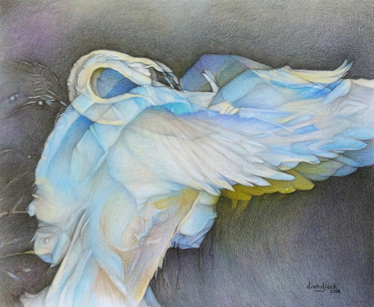 Taking Flight, 2019 (ceruza, papír) alkotó: Darrell Windjack