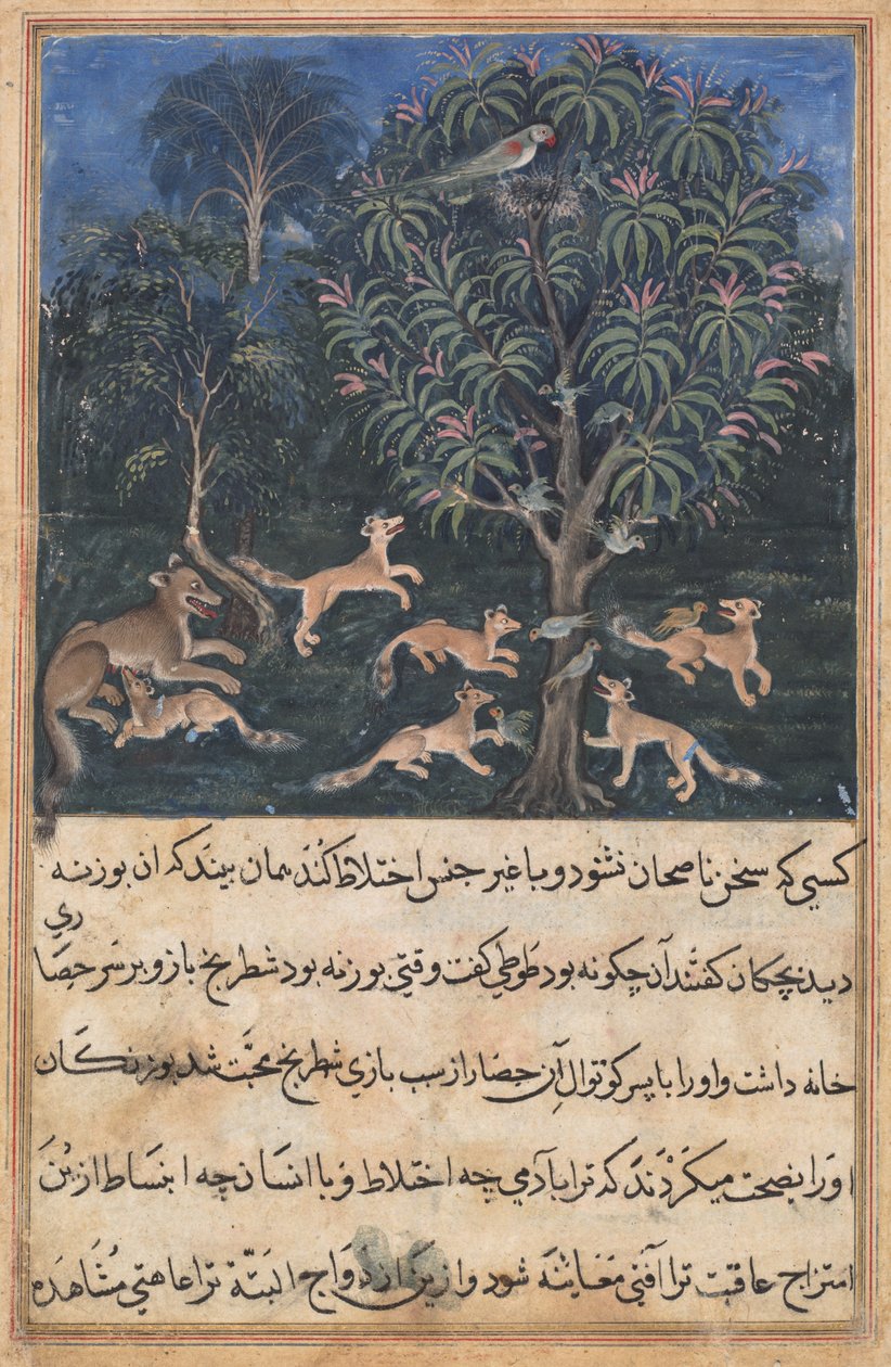 Oldal a Papagáj meséiből Tuti-nama: Ötödik éjszaka: A papagáj anyja figyelmeztet..., c. 1560. alkotó: Daswanth