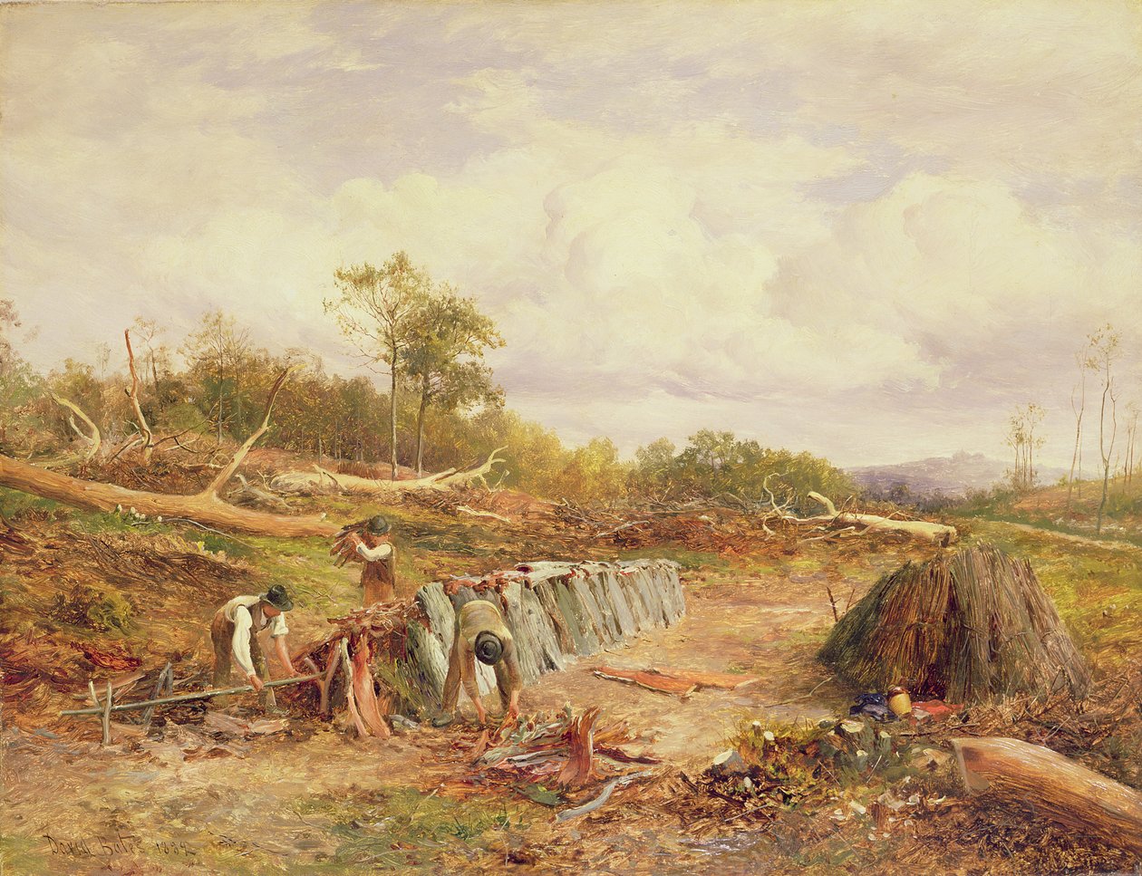A tölgyfakéreg egymásra rakása alkotó: David Bates