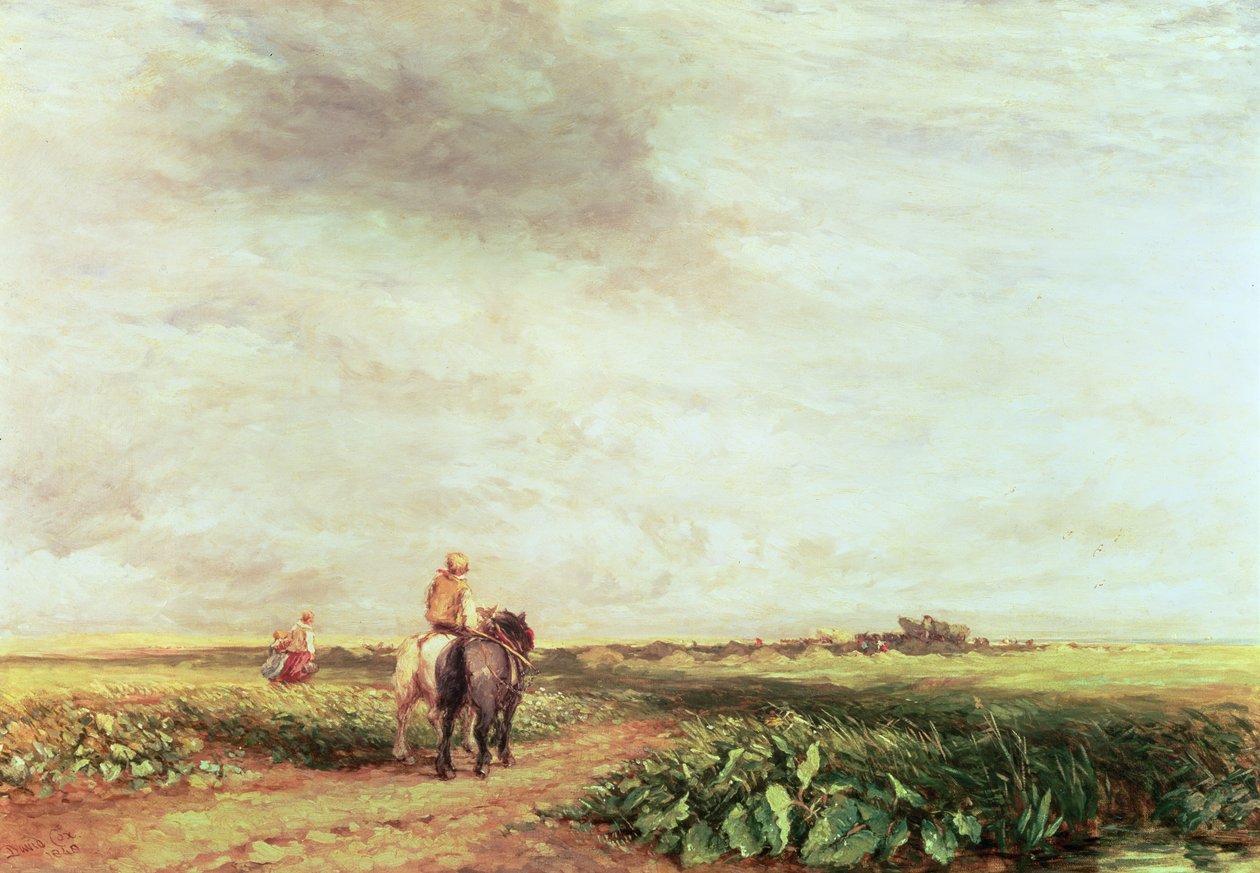 Tájkép alkotó: David Cox