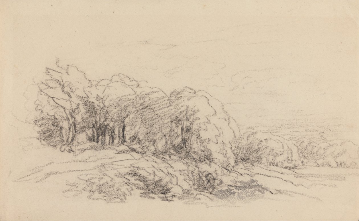 Táj fákkal alkotó: David Cox