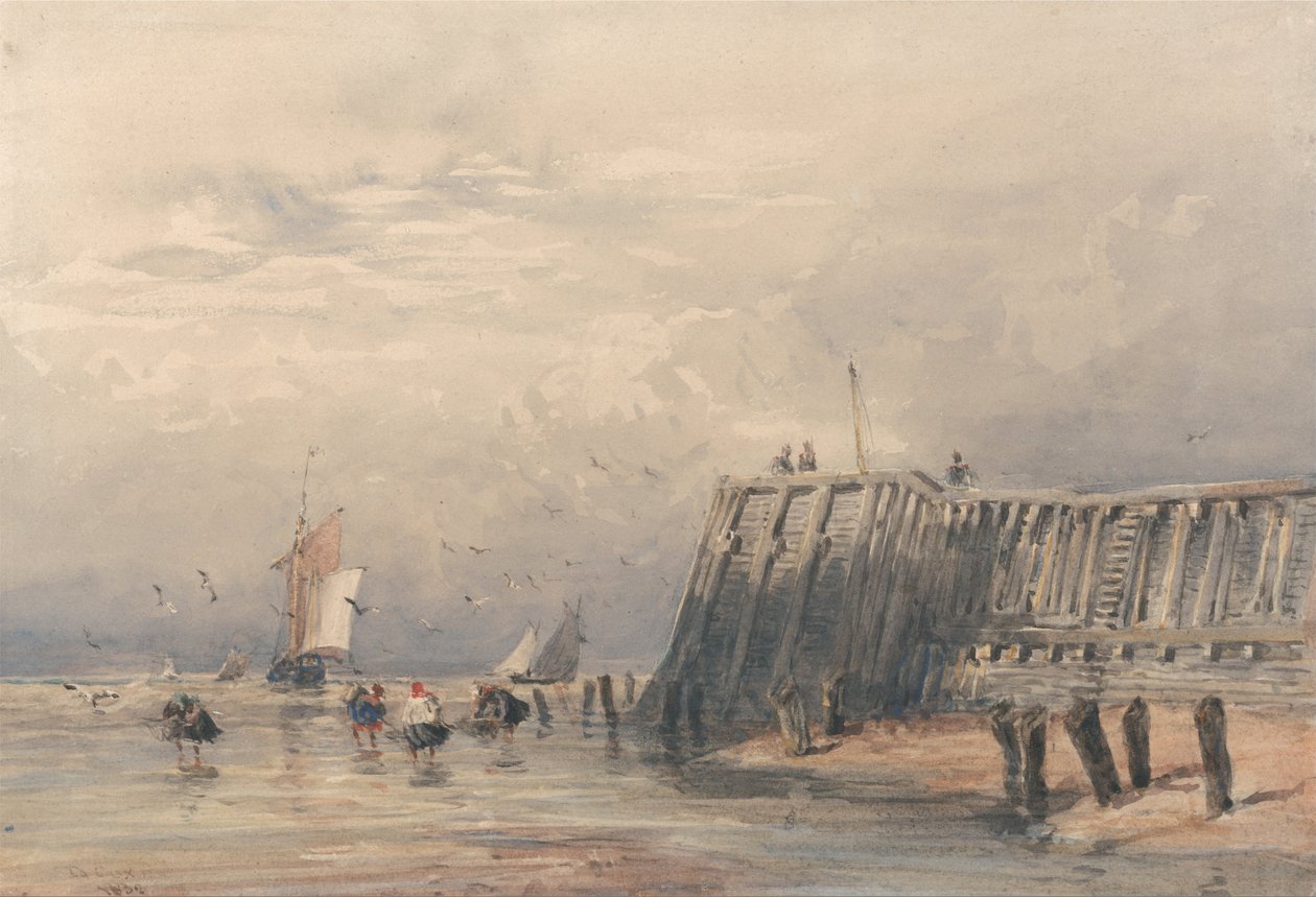 Vitorlázó uszályok és garnélarákok egy mólóról alkotó: David Cox