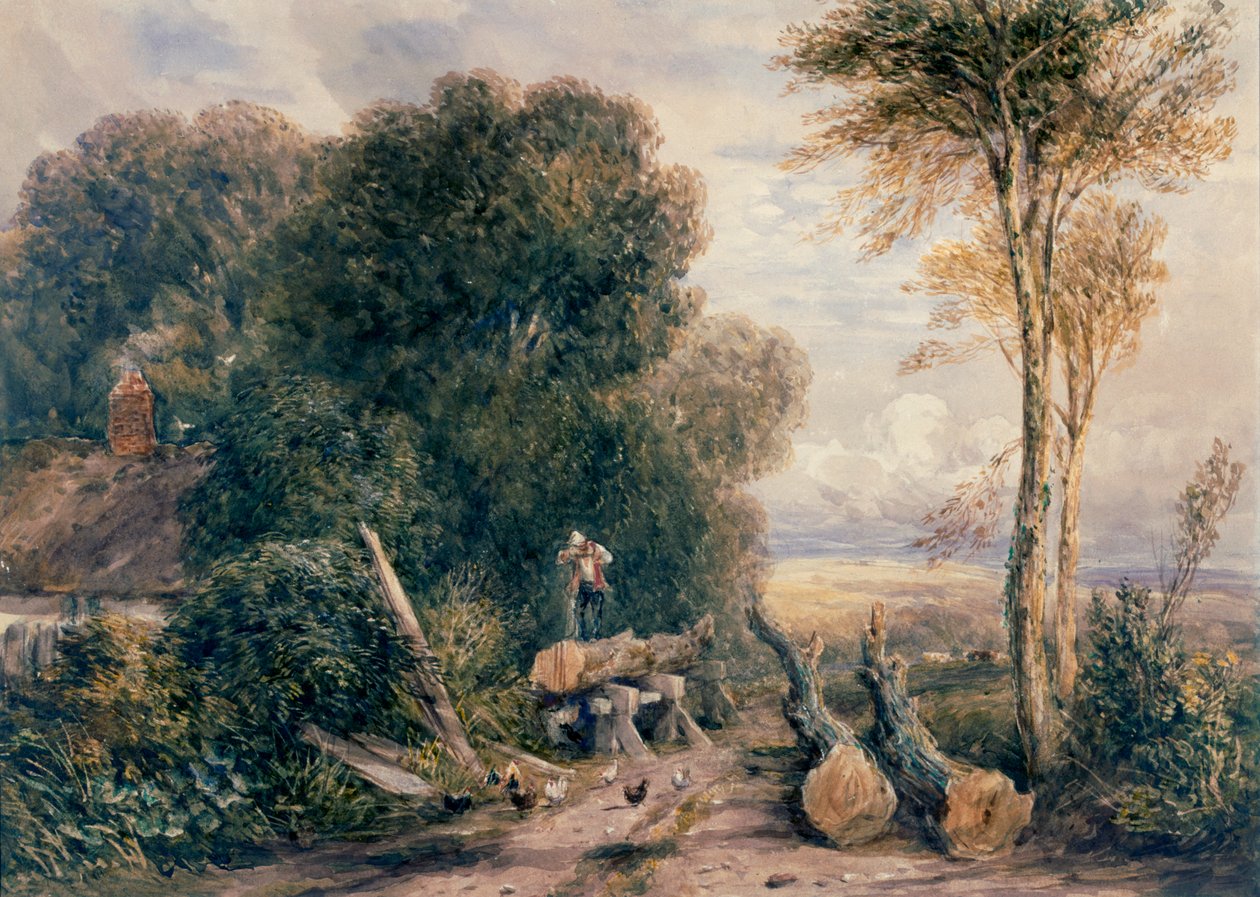 A Fűrészgödör alkotó: David Cox