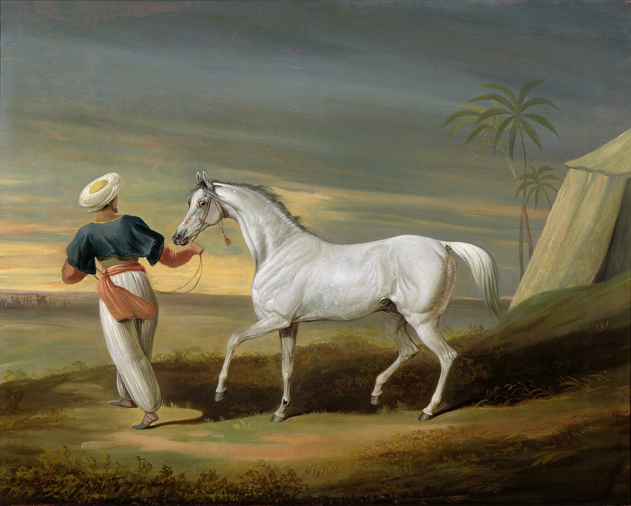 Signal, egy szürke arab, egy vőlegénnyel a sivatagban alkotó: David of York Dalby