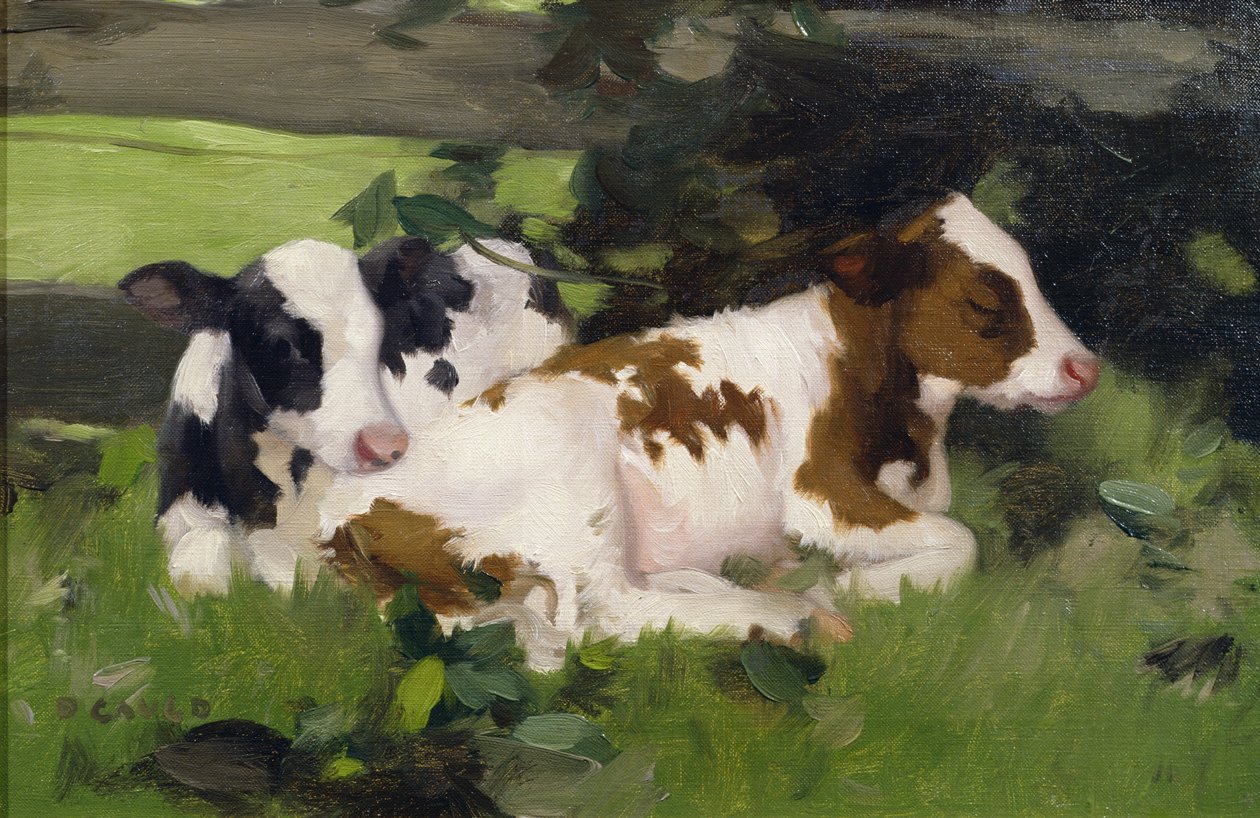 Ayrshire Calves, 1890 körül alkotó: David Gauld