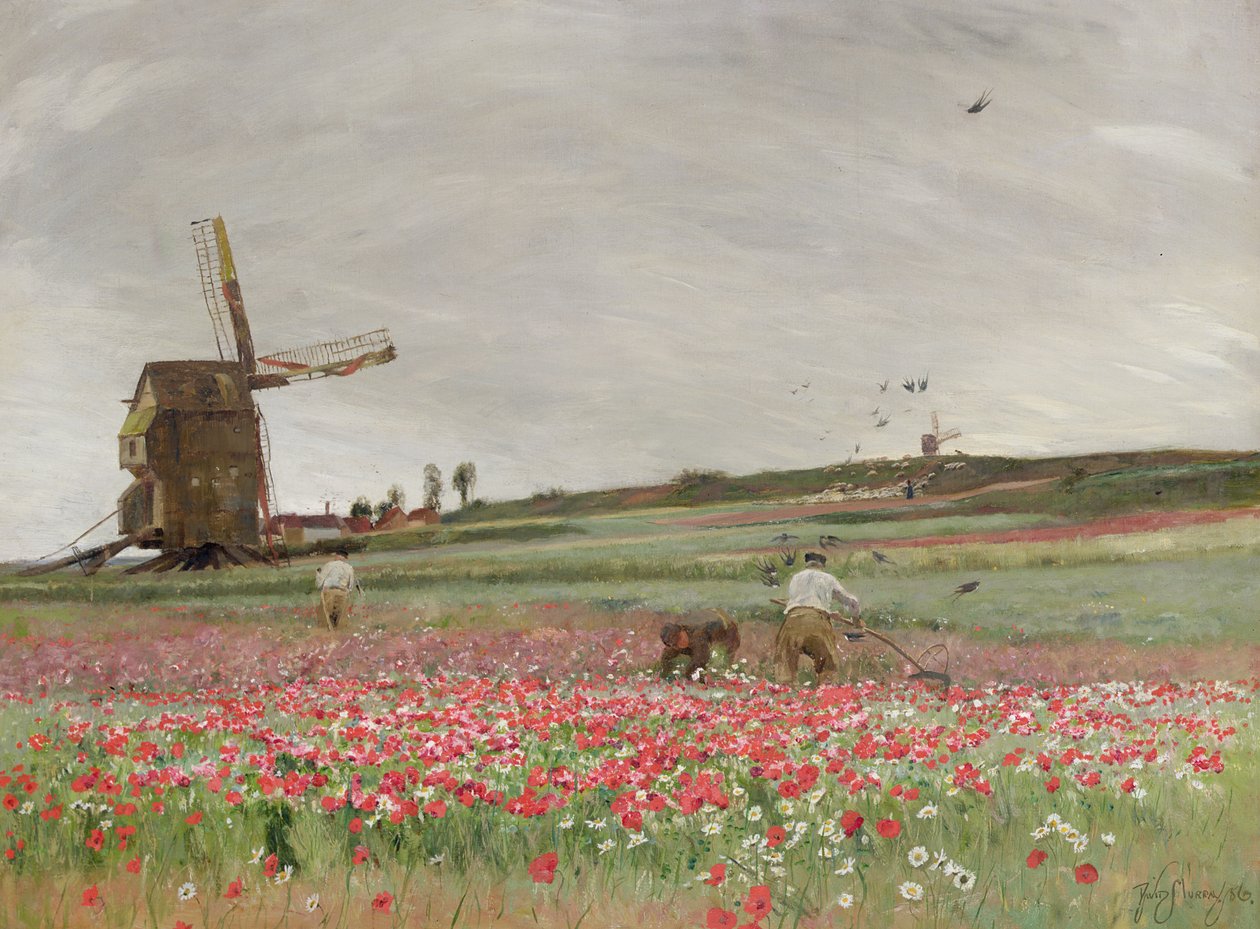Mákos mező, 1886 alkotó: David Murray