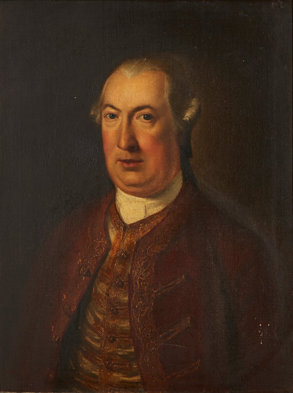 Félalakos portré egy úriemberről hímzett kabátban és mellényben (olaj, vászon) alkotó: David (follower of) Martin