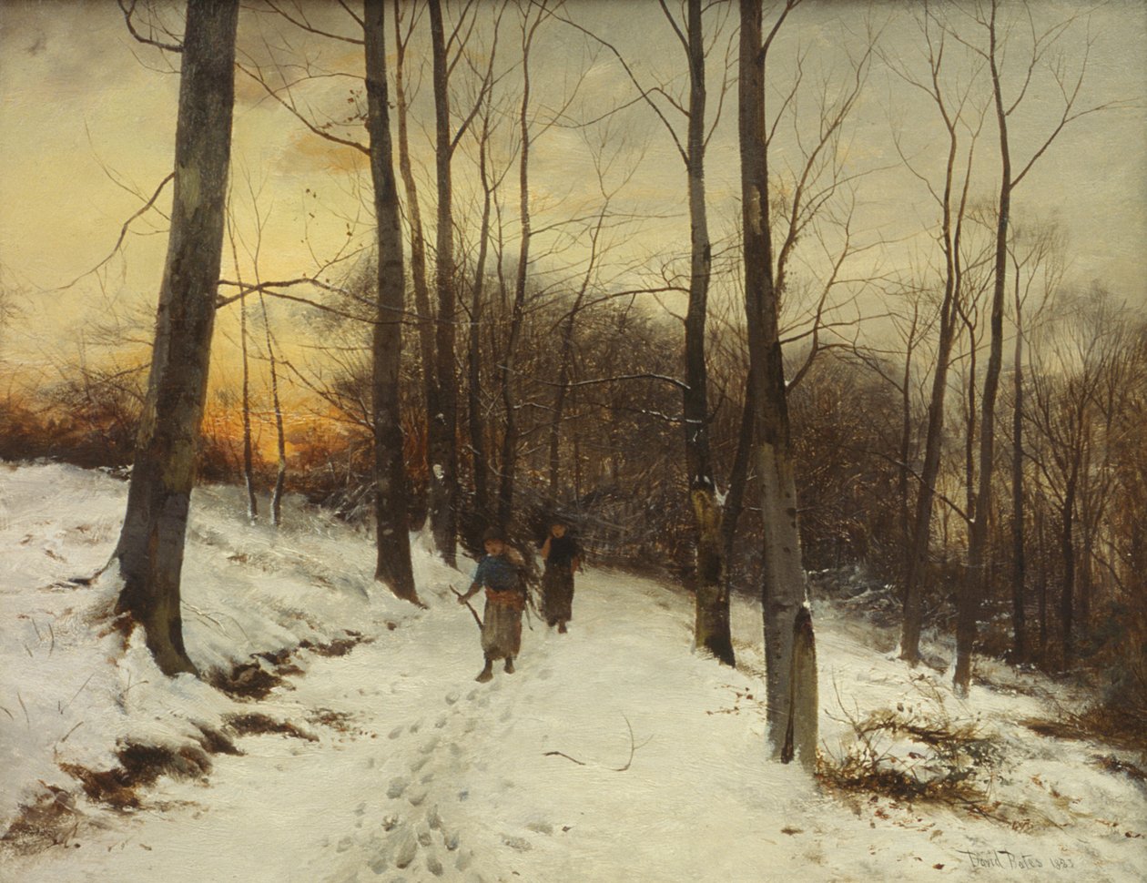 Malvern Woods (olaj) alkotó: David Bates