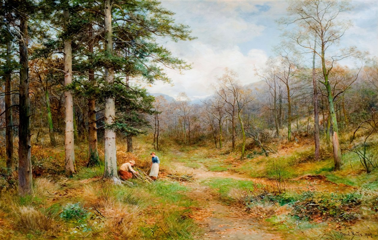 On The Long Mynd, Church Stretton, 1907. alkotó: David Bates