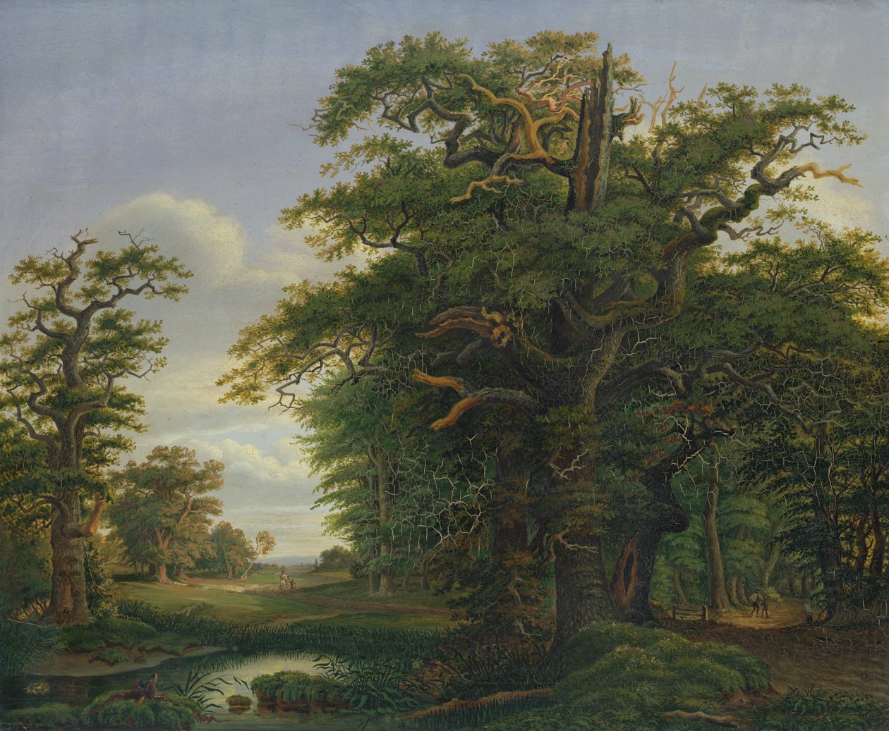 Tölgyfa, 1847 alkotó: David Christopher Mettlerkamp