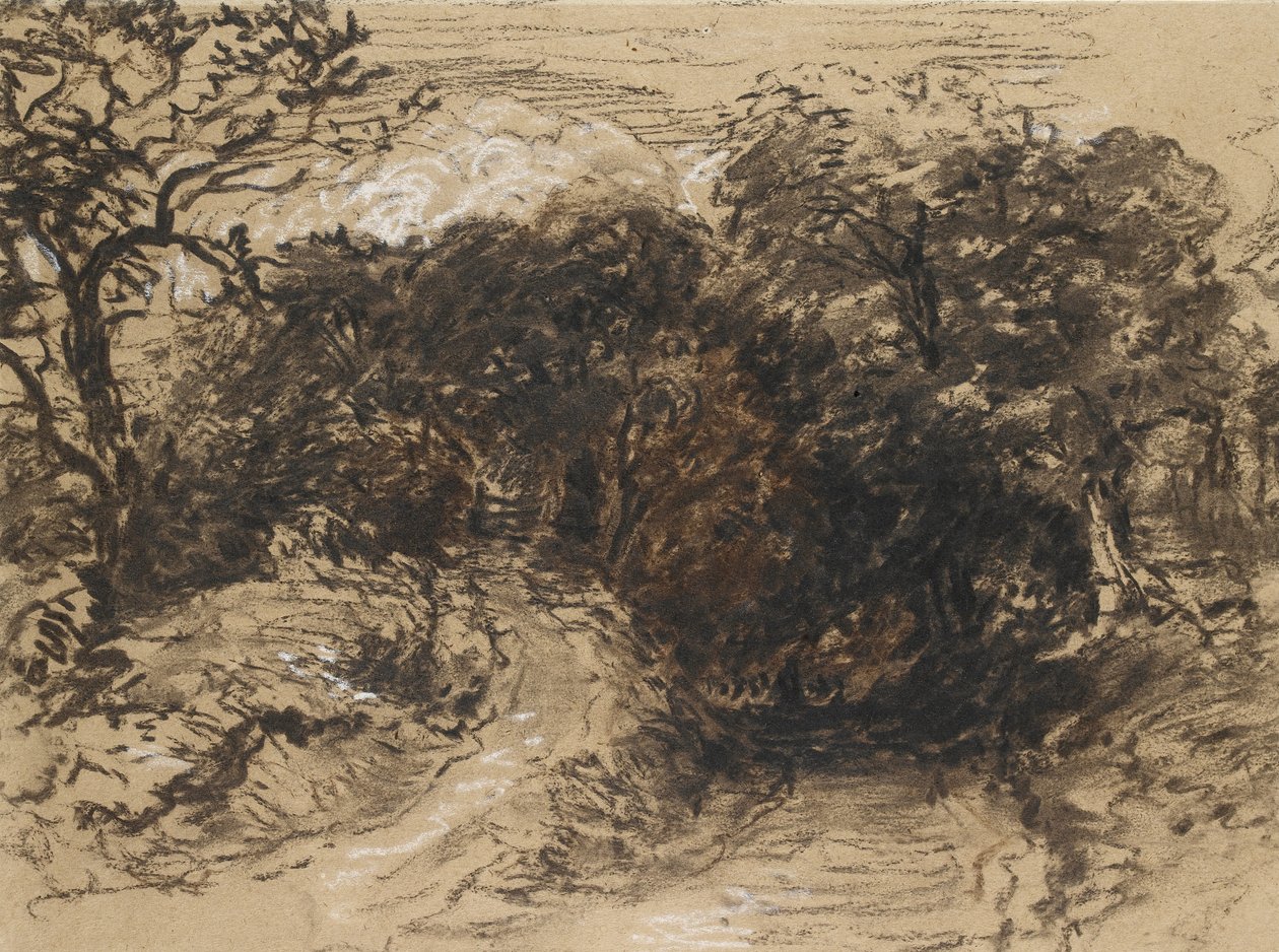 Egy üreges Lane Harborne közelében, Derbyshire államban (fekete kréta fehér árnyalatokkal és némi barna mosással) alkotó: David Cox