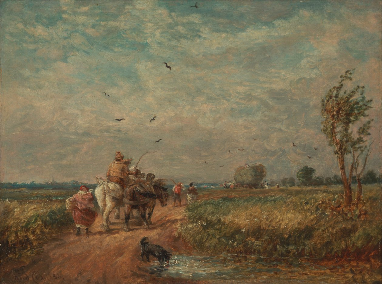Hayfieldbe megy alkotó: David Cox
