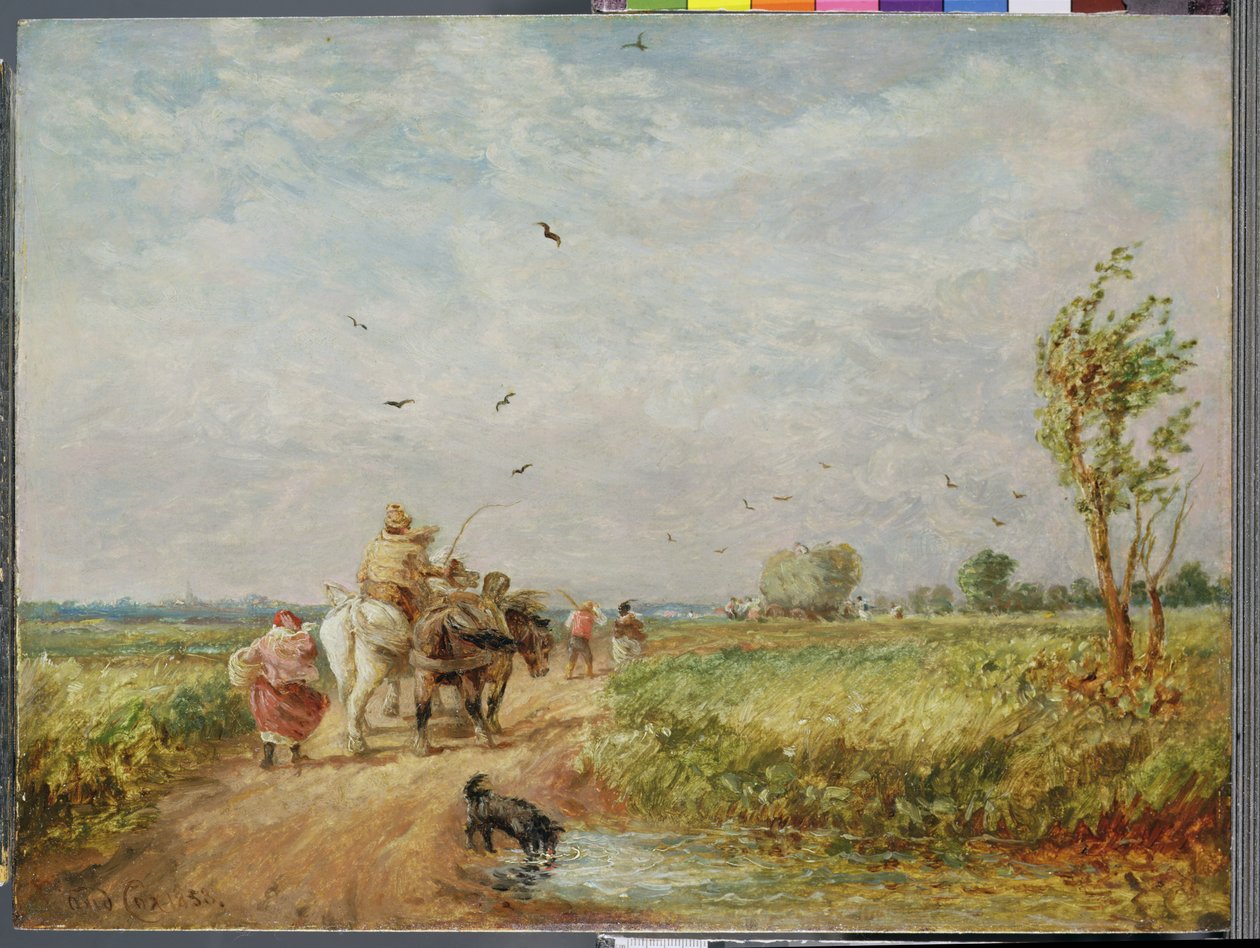 Hayfieldre megy alkotó: David Cox