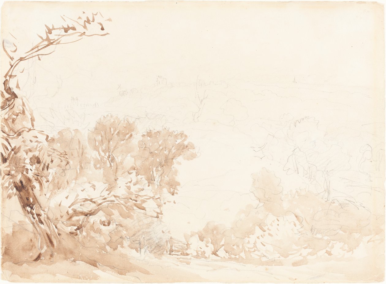 Domboldal és fák alkotó: David Cox