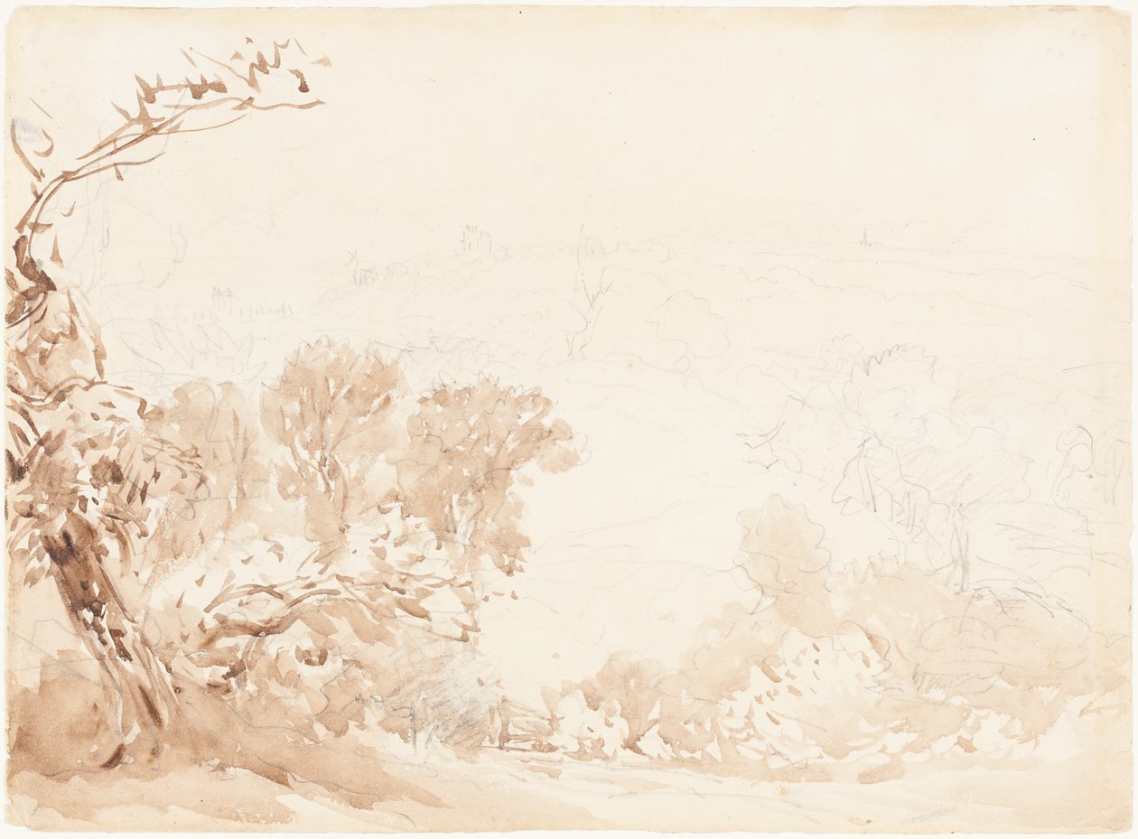 Domboldal és fák alkotó: David Cox