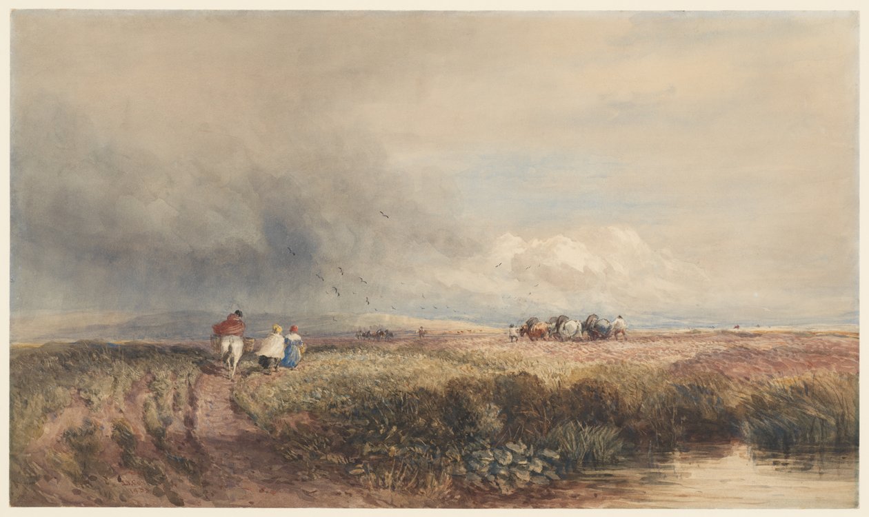Hazautazás alkotó: David Cox